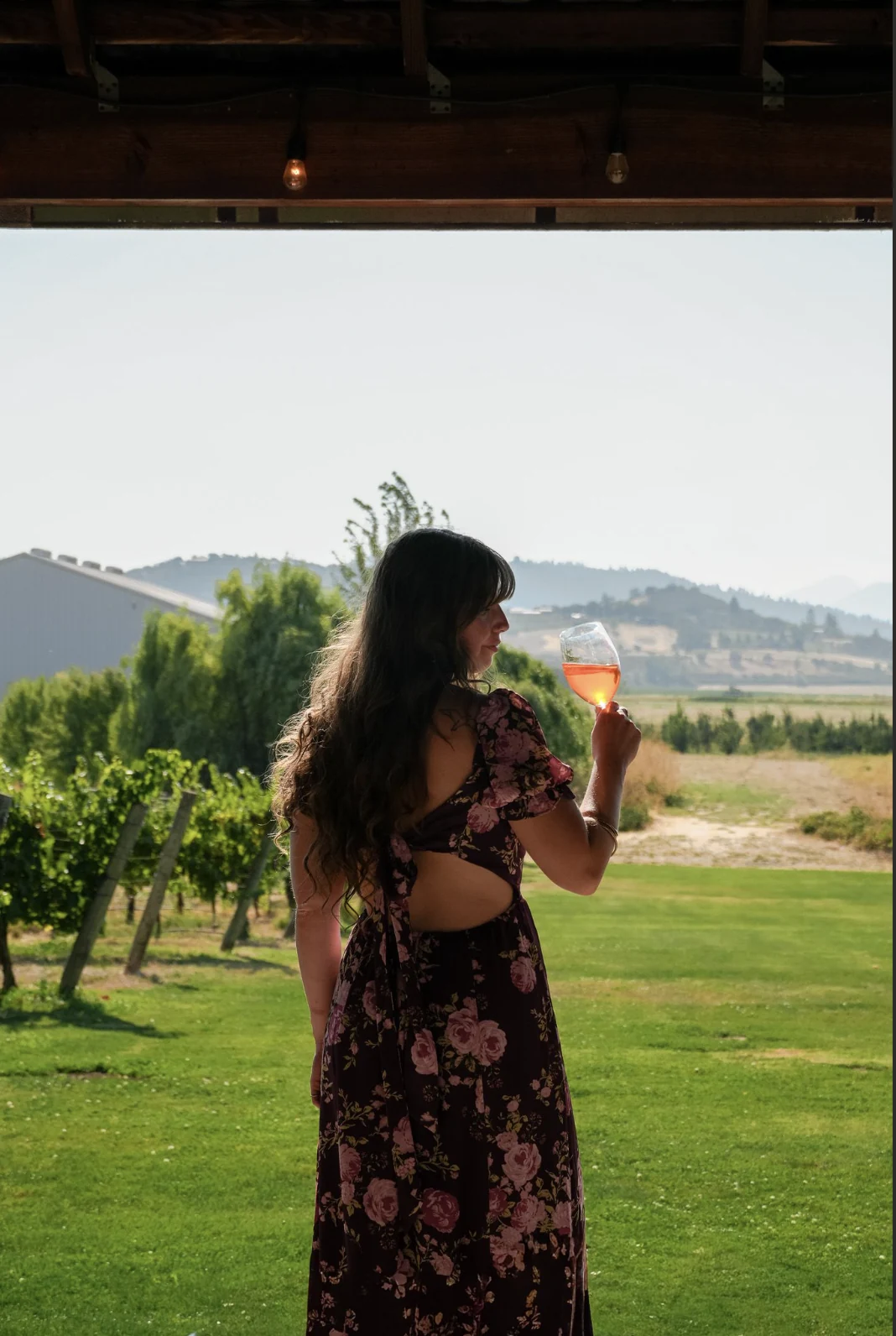 Guest enjoying a glass of wine overlooking Southern Oregon vineyard rows