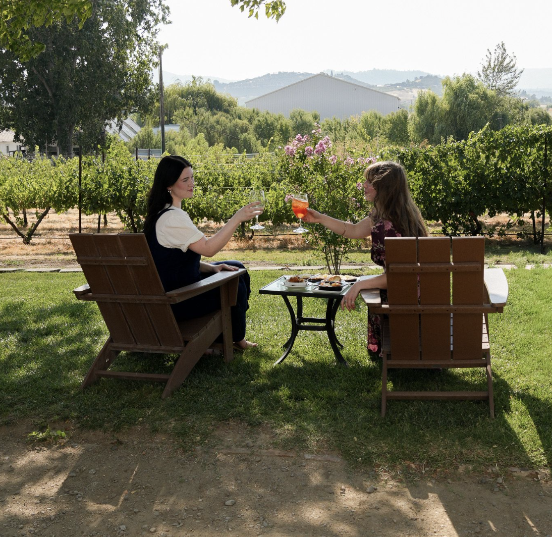 Two guests toasting in a Southern Oregon vineyard