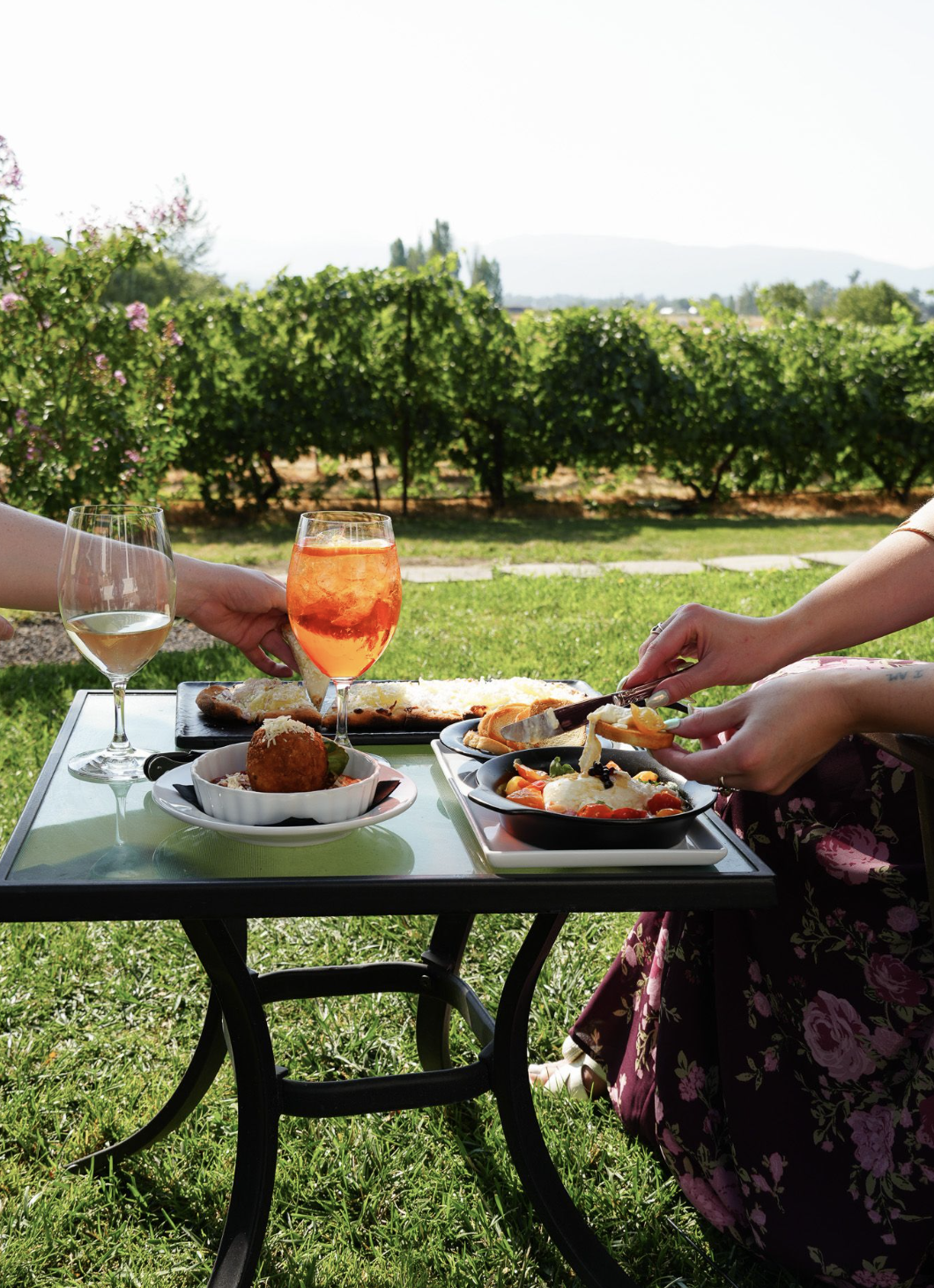 Food and drinks shared at an outdoor vineyard table